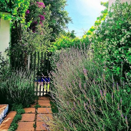 Sunny Lane Franschhoek Exterior foto