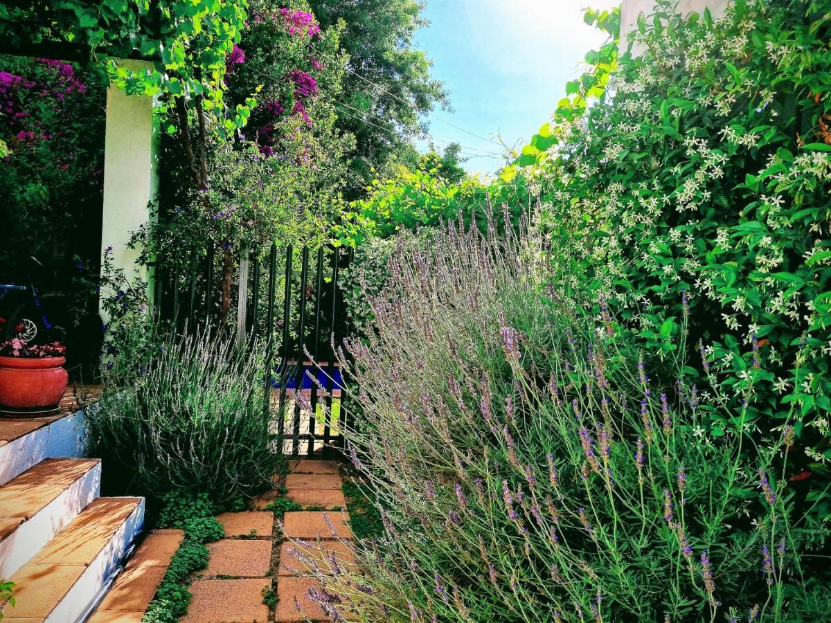 Sunny Lane Franschhoek Exterior foto