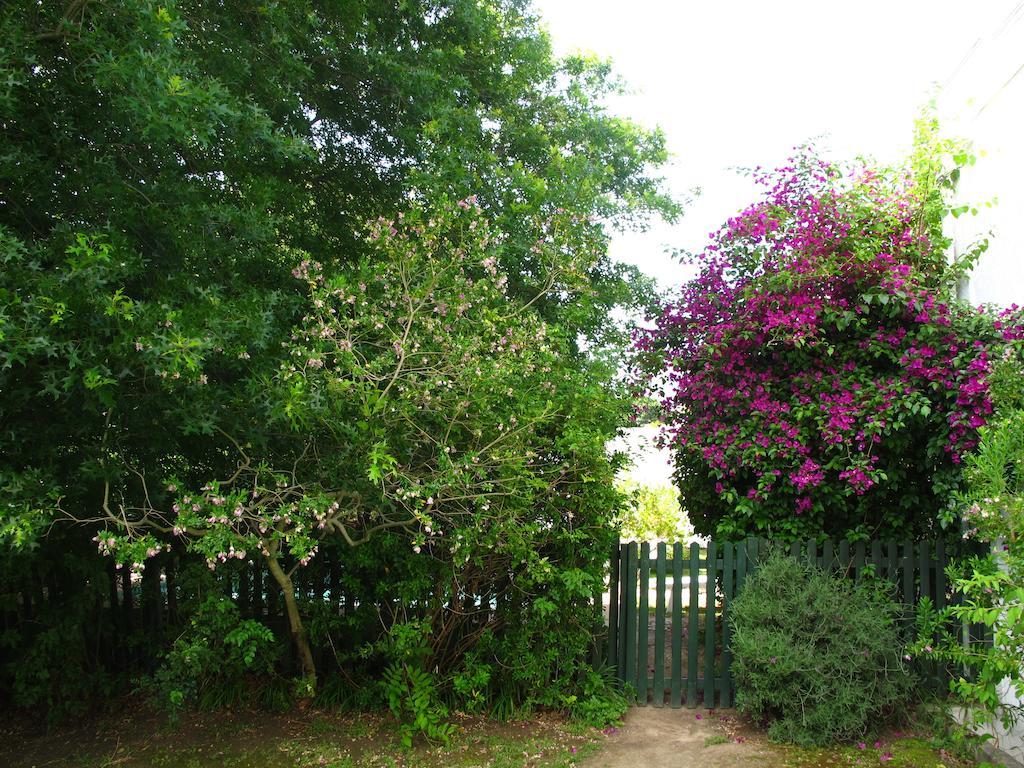 Sunny Lane Franschhoek Exterior foto